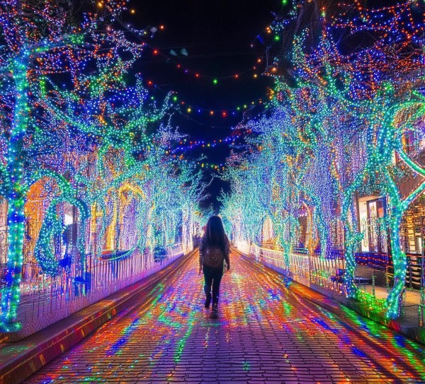 Unveiling the Street of Lights: A Journey Through the Street of Lights